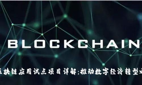 : 区块链应用试点项目详解：推动数字经济转型之路