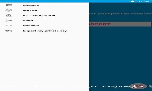 BSC区块链：了解Binance Smart Chain的定义与应用